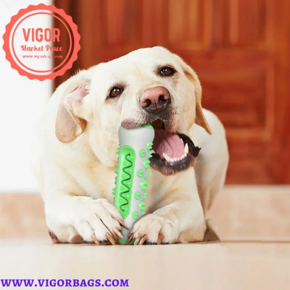 Dog Squeaky Bone Stick Toy Chew Toothbrush & Grooming Brush